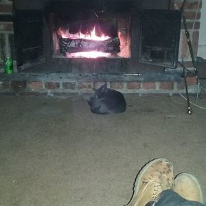 Meet your Posher, Carlius